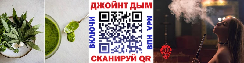 Cannafood конопля  купить закладку  Барыш 